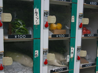 fresh produce from vending machines such as lettuce and corn