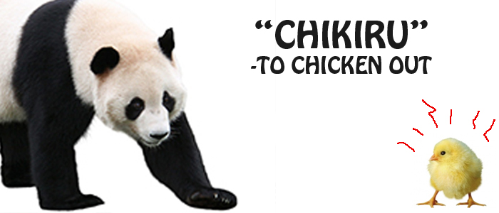 chikiru chicken and panda